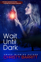 Wait Until Dark by Christy Barritt