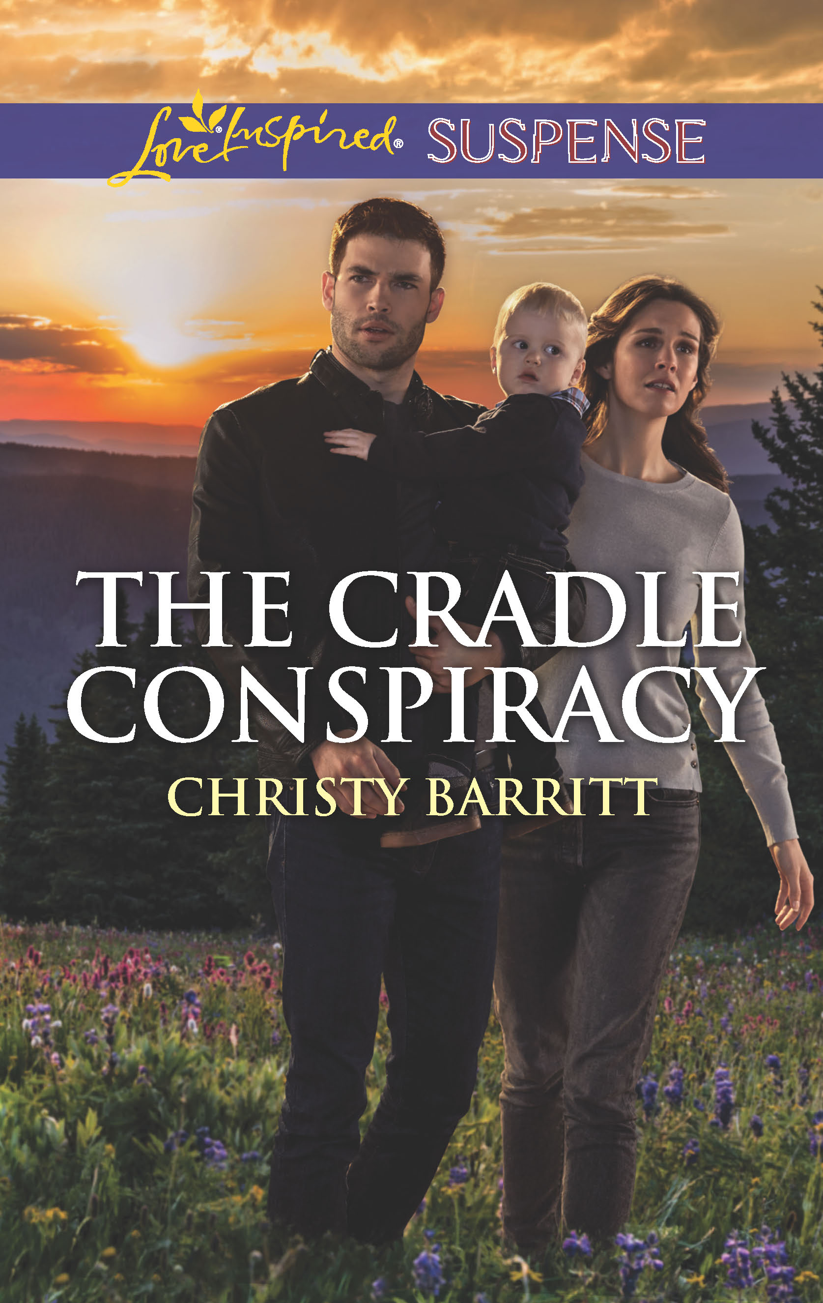 The Trouble with Perfect by Christy Barritt The Trouble with Perfect by Christy Barritt