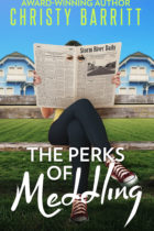 The Perks of Meddling by author Christy Barritt