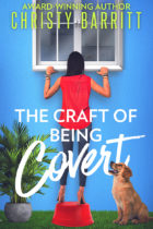 The Craft of Being Covert by author Christy Barritt